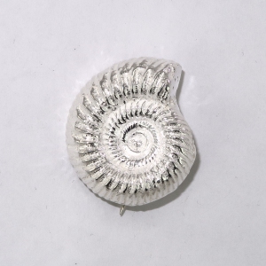 Silver ammonite brooches